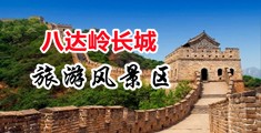 黄色片美女日逼中国北京-八达岭长城旅游风景区